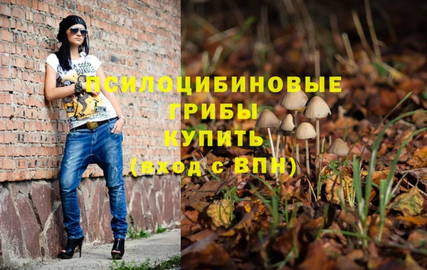 jwh Алзамай