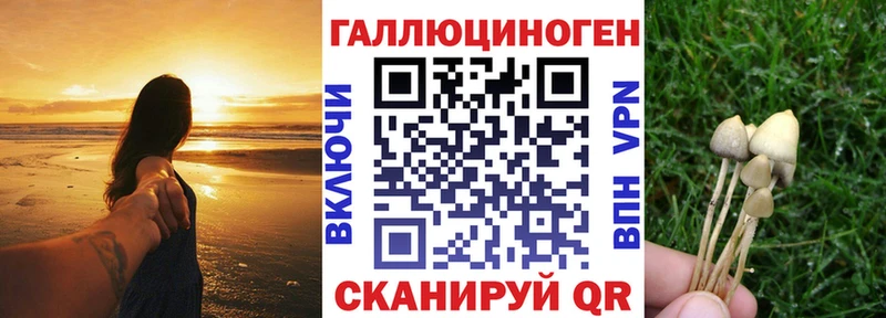Галлюциногенные грибы MAGIC MUSHROOMS  Ардон 