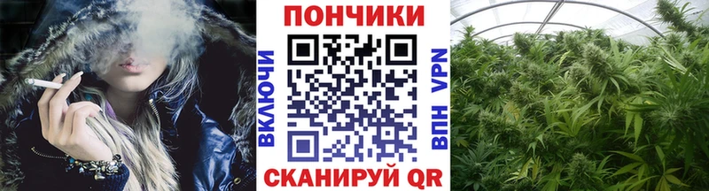 купить наркотик  Ардон  Канабис SATIVA & INDICA 
